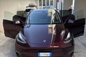 Tesla Model Y AWD Performance 460 cv