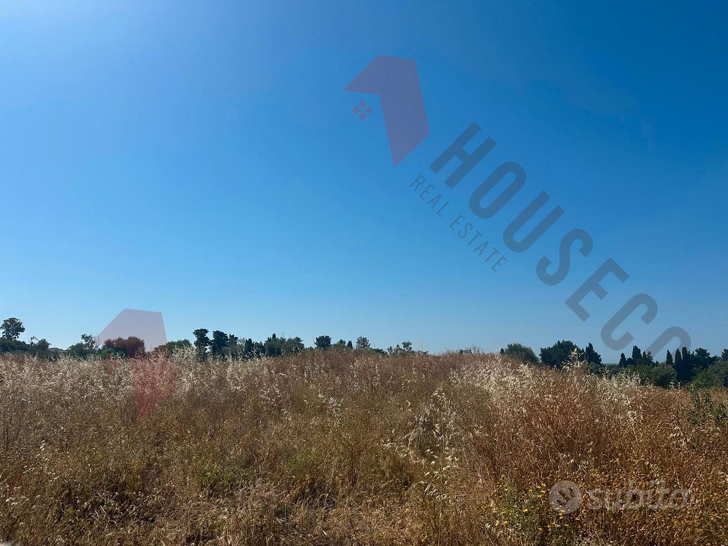 Località Gannì: Terreno agricolo - Vista 3