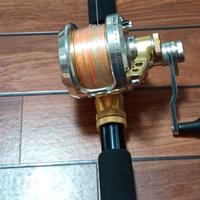 CANNA BALTIMORA PIU' MULINELLO FIN-NOR