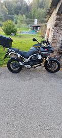  moto guzzi nxt4v
