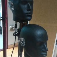 Testa microfonica binaurale