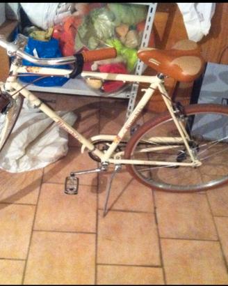 Bicicletta