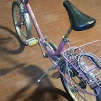 bici pieghevole 