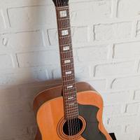Chitarra acustica Eko Ranger XII anni 60/70 SCAMBI