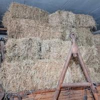 Ballette rettangolari di fieno