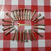 25 tasselli a espansione con viti M8