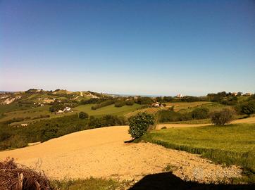 Rudere collabente con terreno agricolo