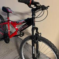 Mtb da ragazzo