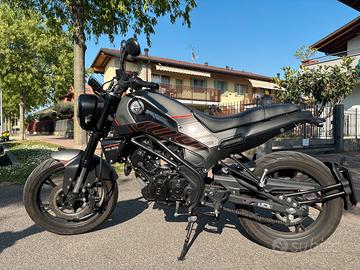 Naked Benelli Leoncino 125 - 2023