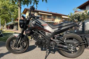 Naked Benelli Leoncino 125 - 2023