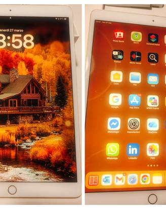 iPad Pro 10.5" Wi‑Fi 64GB Gold +Cover+ Pellicole