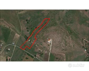 Terreno Edificabile Santa Cristina Gela