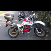 Honda XL 600 lm