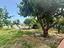 Immagine 15