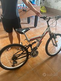 Bicicletta