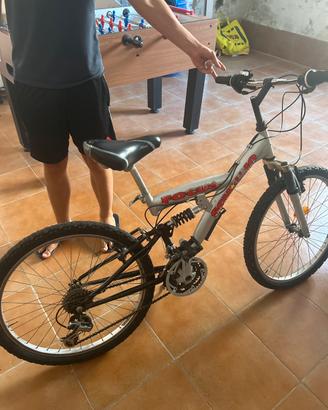 Bicicletta
