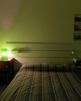 Lampada da tavolo Kartell Take verde