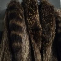 Pelliccia Marmotta taglia 46