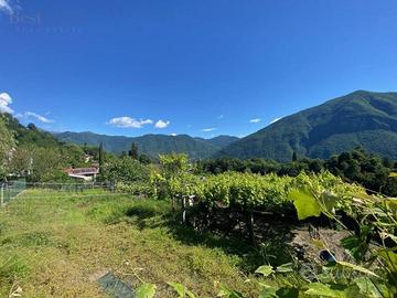 Terreno di 1500 m² a Valsolda
