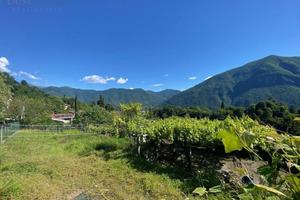 Terreno di 1500 m² a Valsolda