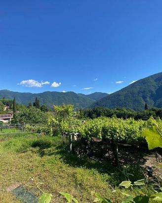 Terreno di 1500 m² a Valsolda