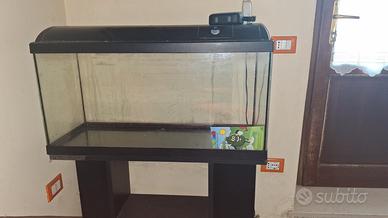 acquario