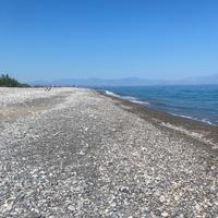 Calabria Rossano seggio