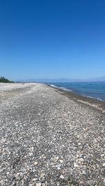 Calabria Rossano seggio