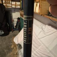 Canna da pesca ai siluri