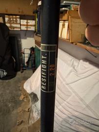 Canna da pesca ai siluri