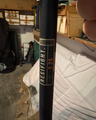 Canna da pesca ai siluri