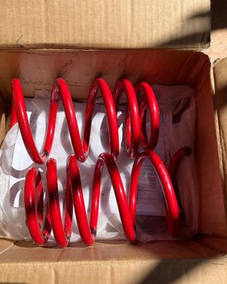 Molle assetto per Smart 450 (Leggere annuncio)