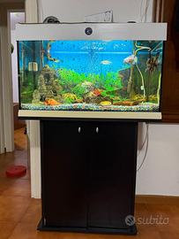 Acquario