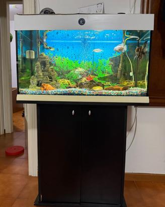 Acquario