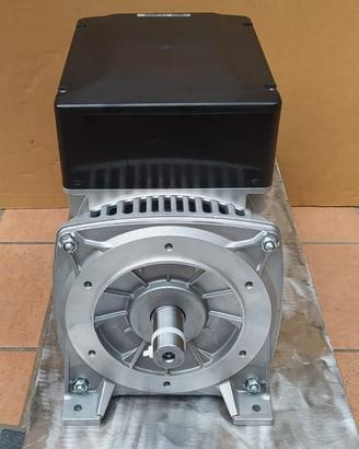 ALTERNATORE 5.5 KVA MONOFASE CON ALBERO ESTERNO