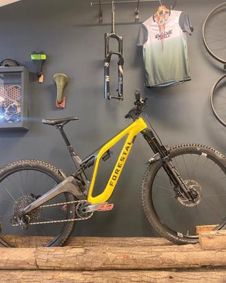 Forestal Siryon Halo