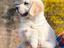 Immagine 21