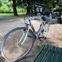 Bicicletta - city bike da uomo