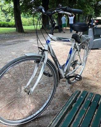 Bicicletta - city bike da uomo da 28