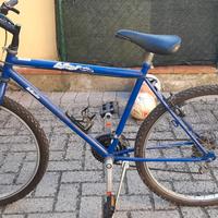 Biciclette ragazzo/adulto diametro ruota 65cm