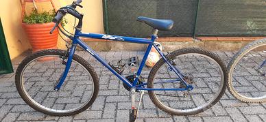 Biciclette ragazzo/adulto diametro ruota 65cm