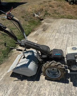 Motocoltivatore bertolini