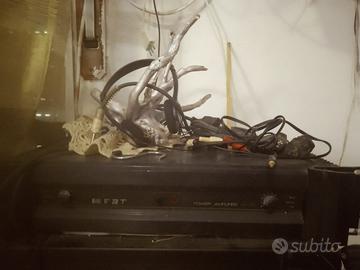 FINALE  FBT DI POTENZA