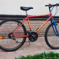 Mountain bike anni 90