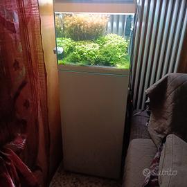 acquario 