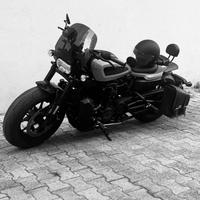 Schienalino Harley Davidson Sportster S