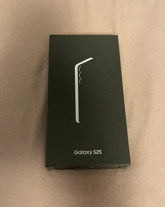 Samsung Galaxy S25