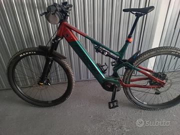 bicicletta elettrica