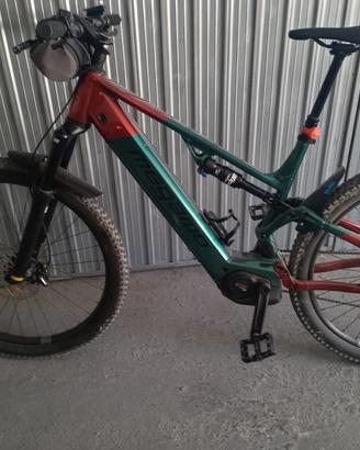 bicicletta elettrica