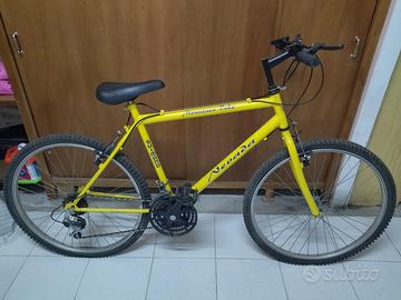 Mountain Bike misura adulto